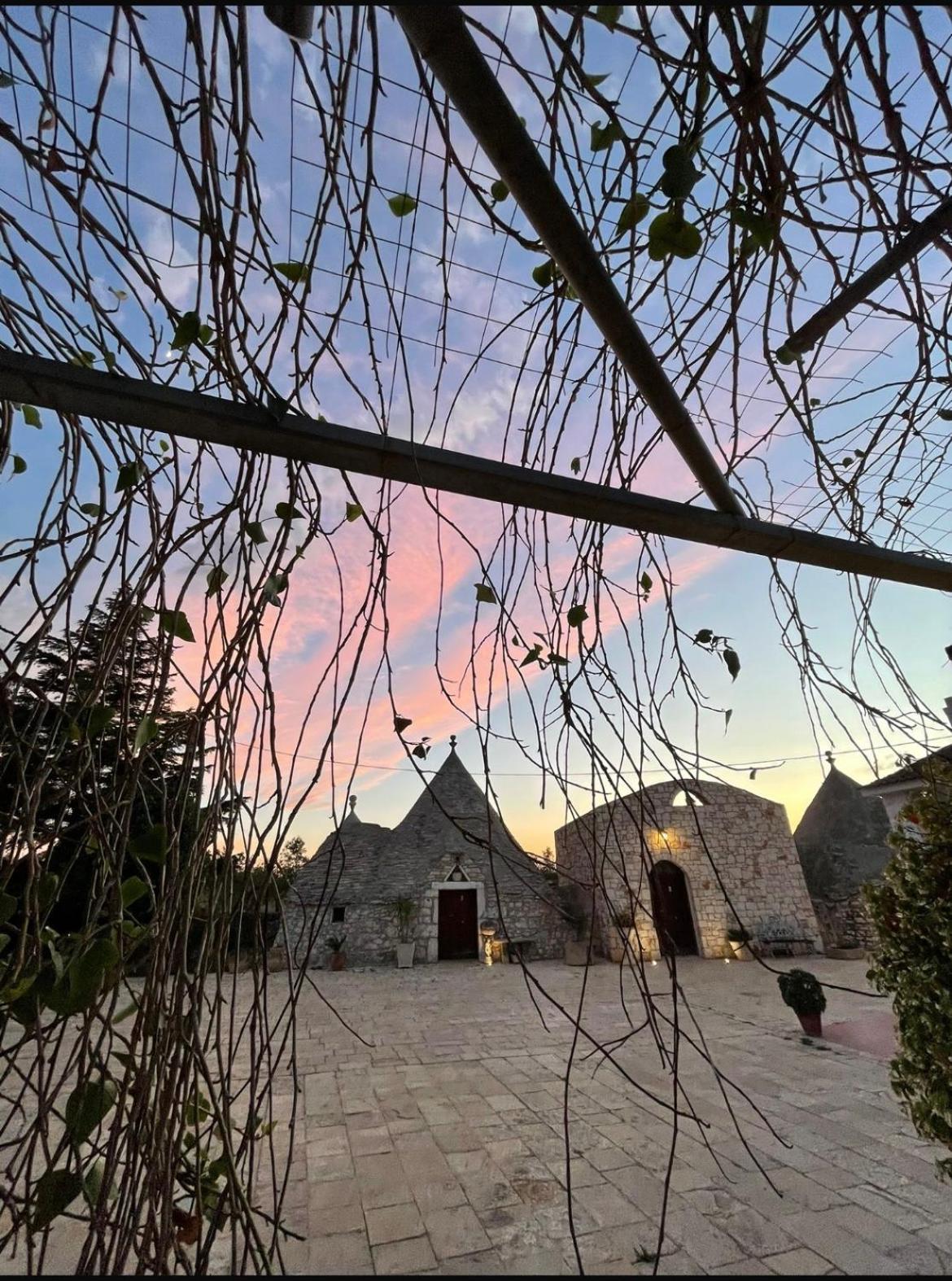 Bed & Breakfast Vecchia Vallata Gioia Del Colle Dış mekan fotoğraf