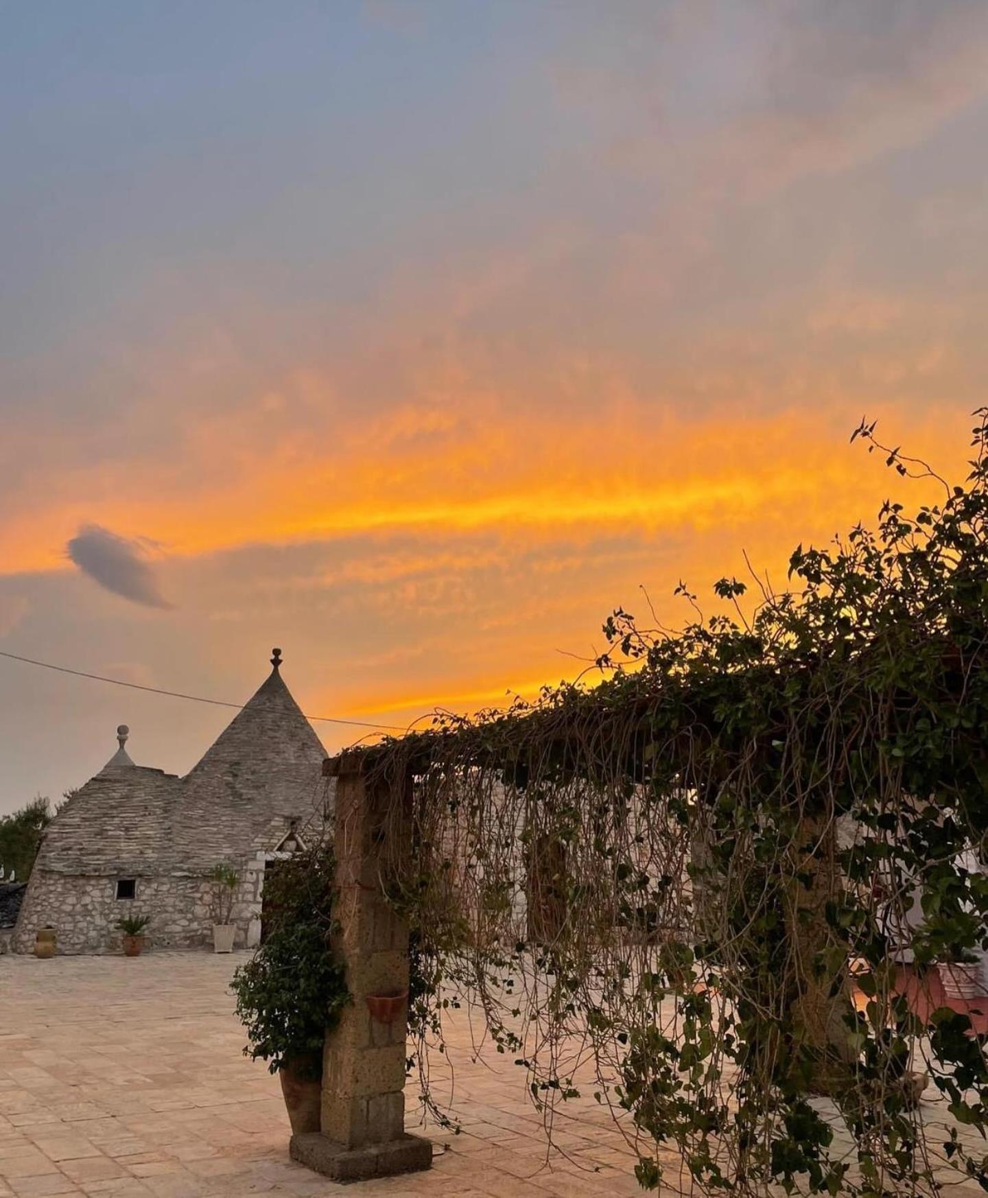 Bed & Breakfast Vecchia Vallata Gioia Del Colle Dış mekan fotoğraf